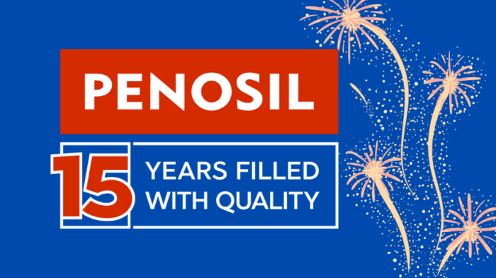 Penosil stasts raksts