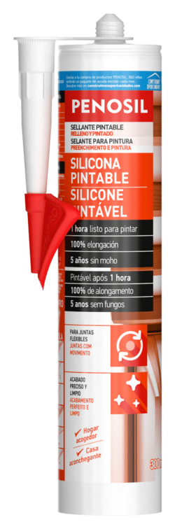 Silicone Pintável