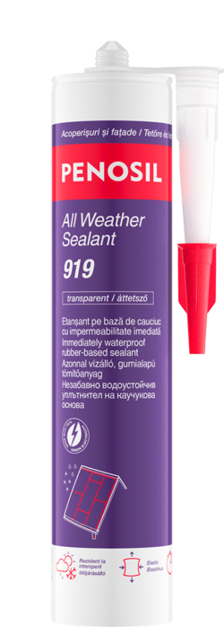 All Weather Sealant 919