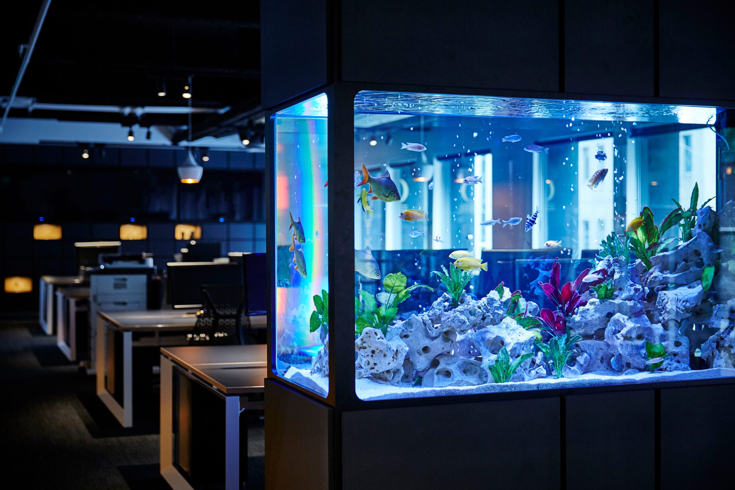 Aquarium Silicone 380 gallery image