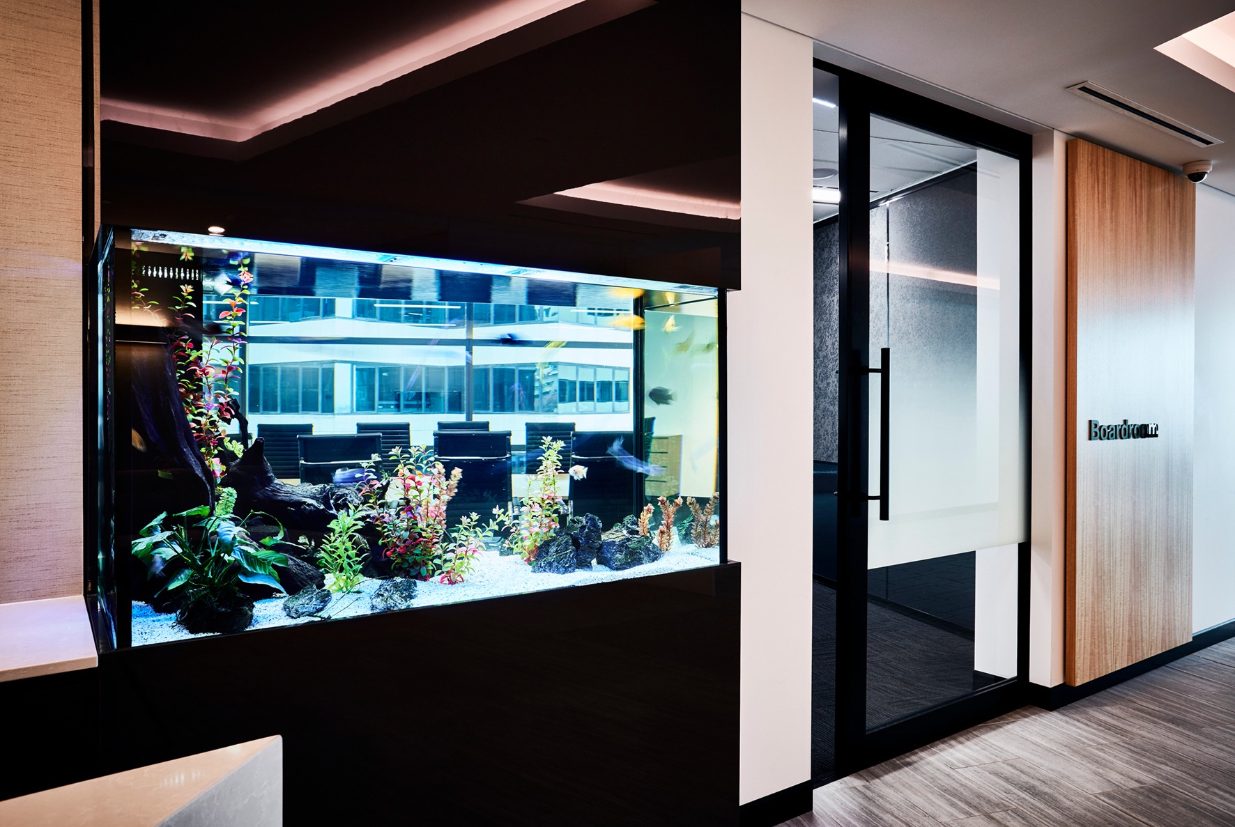 Aquarium Silicone 380 gallery image